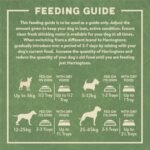 Harringtons Complete Wet Tray Grain Free Hypoallergenic Adult Dog Food Meaty Bumper Pack 16x400g - Chicken, Lamb, Beef & Turkey - Made with All Natural Ingredients - Image 2