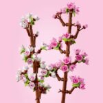 LEGO Botanicals Cherry Blossoms Toy - Faux Flowers Building Set - Desk Decoration or Floral Home Decor - Nature Gift for 8+ Year Old Girls & Teens - 40725 - Image 7