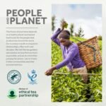 Yorkshire Tea, Total 600 Tea Bags, (Pack of 1.875 kg) - Image 2