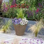 2 x Artificial Rattan Patio Planters Purple and White Faux Silk Pansies with Conifer/Cedar Topiary ideal for Home, Patio, Garden Outdoor Living 60cm/23.5in - Image 4