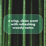 DOVE MEN + CARE Whole Body Deo Aluminum-Free Deodorant Stick Aloe + Bamboo Helps Avoid Chafing Suitable from Pits, Privates, to Feet 2.6 oz - Image 5