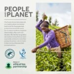 Yorkshire Tea Bedtime Brew Tea Bags, 4 Boxes of 40 Tea Bags (Total 160 Bags) - Image 2